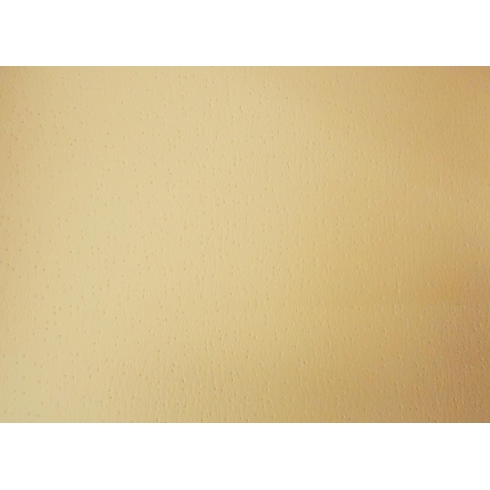 PSLF-YE29 -Kem-012-PW12-GM