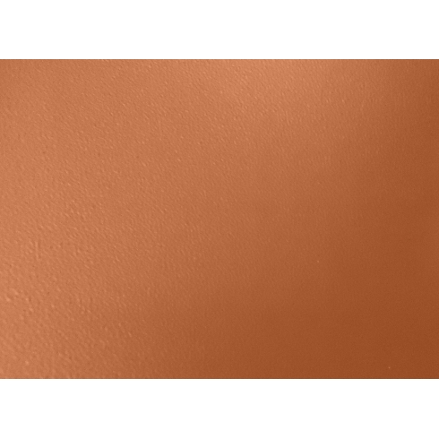 PSLF-BR49-Nâu-17-PBK10-GM