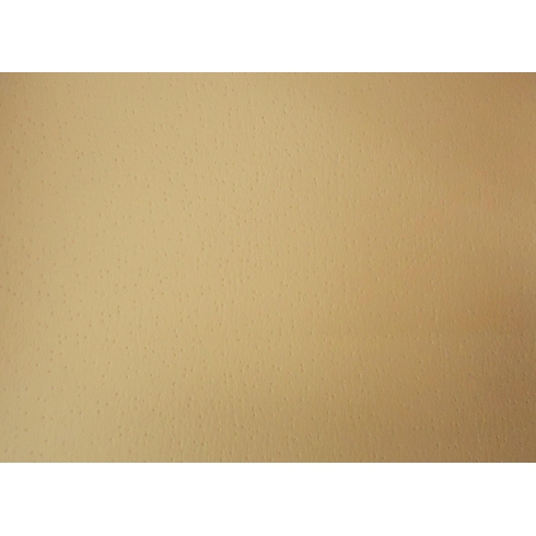 PSLF-YE23-Kemnhat-012-PWK10-GM