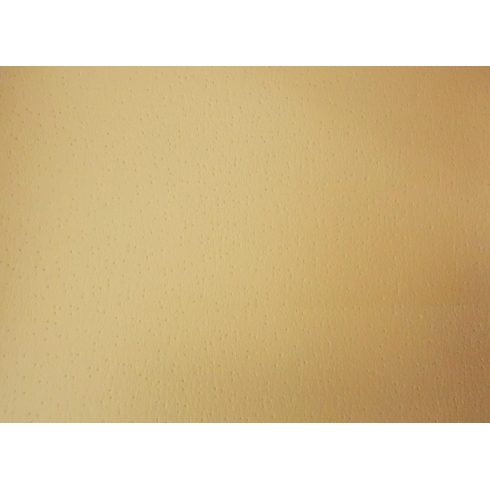 PSLF-YE42 -Kem Đậm-012-PW12-GM