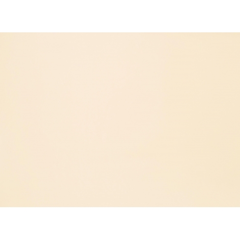 SSH3557-Off white-DE7-Wet NW