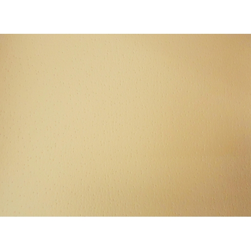 PSLF-YE29-Kem -012-PW12-GM